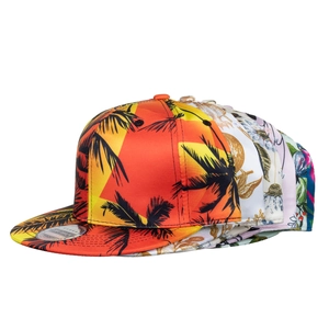Snapback baseball hats with tropical palm tree print and multiple digital patterns