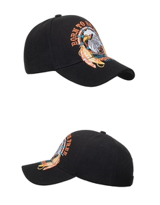 Detailed eagle embroidery and Born To Be Free text on a black cotton baseball cap