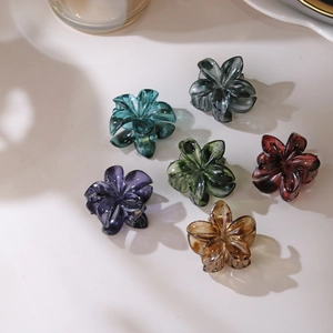 Set di 6 mollette per capelli a forma di fiore di frangipane in resina per styling eleganti
