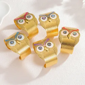 Wide stainless steel owl bangle with colorful enamel inlay in five different vibrant finishes