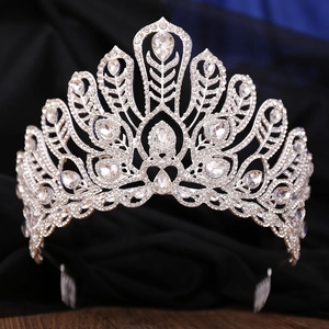 Detailed close-up of a silver rhinestone tiara with intricate floral crystal patterns