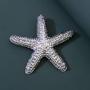 Detailed close-up of a silver starfish brooch featuring realistic textured metal granules