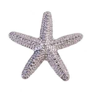 Macro shot of silver starfish brooch showing detailed grainy texture and metallic luster