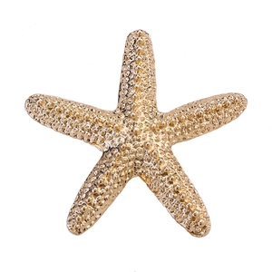 Detailed view of the gold starfish brooch showcasing textured metal surface and sea style