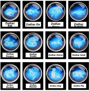 Grid view of 12 zodiac glass dome charms with blue animal silhouettes on black background