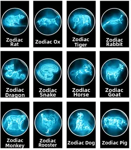 Selection chart of 12 Chinese zodiac icons with neon blue electric lines on black