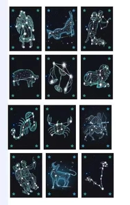 Detailed grid showing 12 zodiac constellation pendants in vintage black aesthetic style