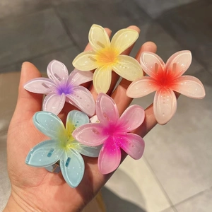 Lot de cinq pinces à cheveux fleurs en résine dégradée avec finition nacrée