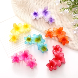 Pinces à cheveux en acrylique avec fleurs de frangipanier et dégradés colorés en six nuances