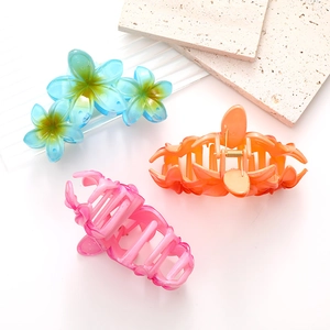 Lot de pinces à cheveux en acrylique avec fleurs de frangipanier et dégradé résine