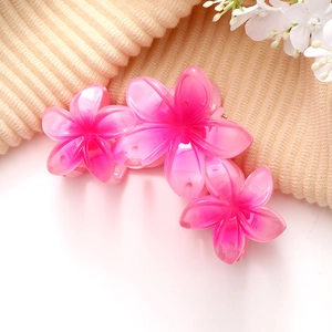 Lot de pinces à cheveux frangipanier à dégradé rose pour un style de vacances doux