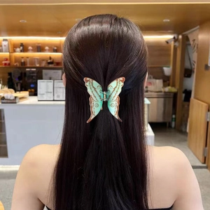 Eleganter Schmetterlings-Haarclip mit minzgrünem Muster für langes braunes Haar