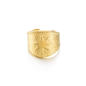 French retro 14K gold plated stainless steel wide star ring with adjustable open band