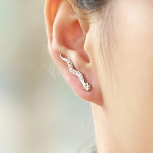 Eleganti orecchini a serpente in argento con cristalli scintillanti e design a S