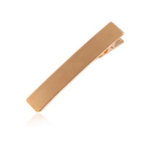 Minimalistisch Legierung Gebürstet Haarspangen Für Damen Westlicher Stil Metall Schnabelspange Haarschmuck Gold Silber Roségold