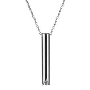 Collana con ciondolo a fischietto minimalista in acciaio inossidabile lucido per donna