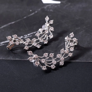 Elegant silver grape cluster rhinestone stud earrings with sparkling crystals for women