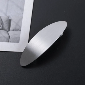 Minimalist silver brushed alloy oval hair clip for women featuring modern matte finish