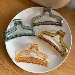 Set of 4 large transparent acrylic hair claw clips in assorted Morandi colors