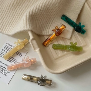 Lot de six pinces à cheveux lapin en acétate coloré avec motifs vintage en résine