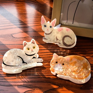 Detailed close-up of cute cat hair claws made of premium marble texture acetate material