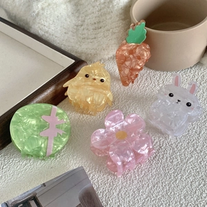 Lot de 5 pinces à cheveux mignonnes en résine acrylique avec motifs lapin et poussin