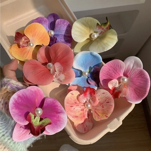 Barrettes à cheveux orchidée Phalaenopsis avec perles colorées pour femmes