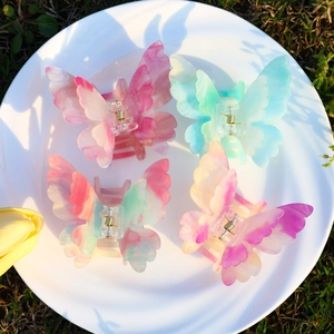 Pinces à cheveux papillon colorées en acétate avec design double couche sur assiette blanche