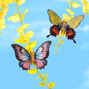 Set of two large 3D acrylic butterfly hair claws in vibrant gradients on yellow flowers