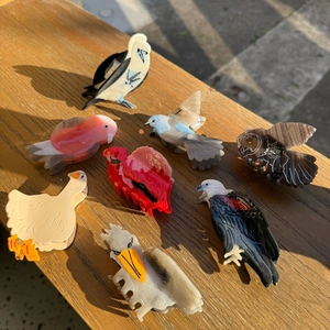 Pinces à Cheveux en Acétate de Cellulose Forme Oiseau Perroquet Aigle Hibou Flamant Rose Accessoires de Coiffure pour Femmes