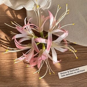 Makroaufnahme einer Spinnenlilie Haarklammer mit rosa Blüten auf einer Holzfläche