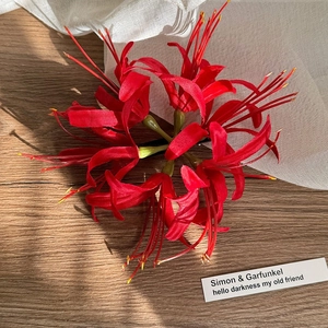 Detailaufnahme einer roten Lycoris-Haarklammer auf einer rustikalen Holzoberfläche