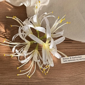 Detail der weißen Lycoris-Haarklammer mit Seidenblüten und gelben Staubblättern auf Holz