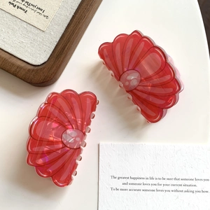 Lot de deux pinces à cheveux roses en forme de coquillage en acrylique translucide