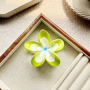 Detailansicht einer grün-weißen Frangipani-Haarklammer auf einem Schmucktablett