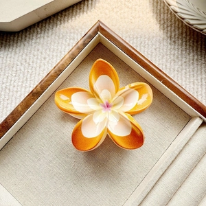 Detailansicht einer bunten Frangipani-Blüten-Haarklammer in einer Schmuckschatulle
