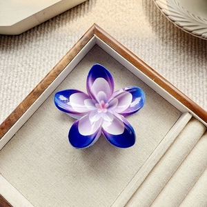 Detailaufnahme der blau-violetten Haarklammer mit Farbverlauf in einer Schmuckschatulle
