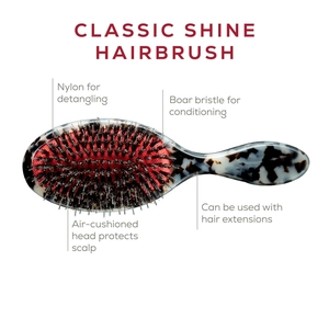 Classic oval hairbrush with boar bristles and tortoiseshell handle for hair care