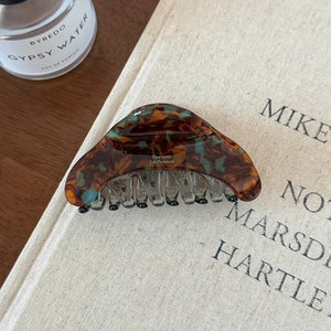 Detail der Schildpatt Haarklammer mit goldenem Barrette La France Schriftzug auf Buch