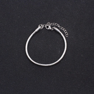 Bracciale a catena serpente minimalista in acciaio inossidabile argento con moschettone