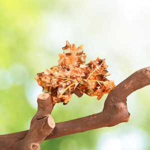 Detail view of acetate maple leaf hair claw clip with golden veins and sparkling rhinestones