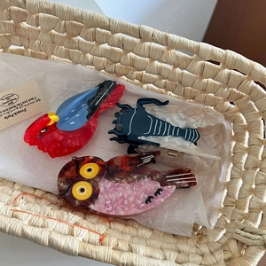 Chic acetate hair claws featuring creative owl and parrot shapes in a woven basket
