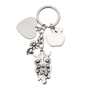 Macro view of zinc alloy owl heart apple and daisy charms on retro silver keychain