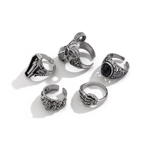 Lot de cinq bagues gothiques avec tête de mort et style punk en argent vieilli