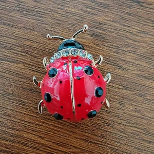 Broche coccinelle en émail rouge avec bordure dorée et strass sur fond de bois