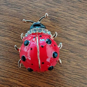 Détail de la broche coccinelle avec ailes en émail rouge et collier en cristal sur bois