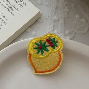 Détail de la broderie d'agrumes avec perles rouges sur fond de dentelle blanche douce