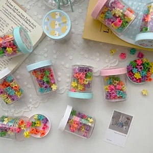 Kleurrijke mini bloem haarspeldjes voor meisjes in een decoratieve pot, pastel