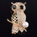 Macro shot of owl brooch featuring crystal rhinestones, black stone eyes and white pearl