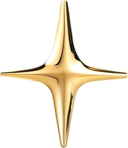 Macro d'une broche étoile en métal doré poli avec finition miroir sur fond blanc